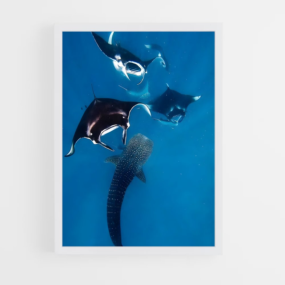 Poster Dance with Giants – affiche Plongée sous-marine (vue 3)